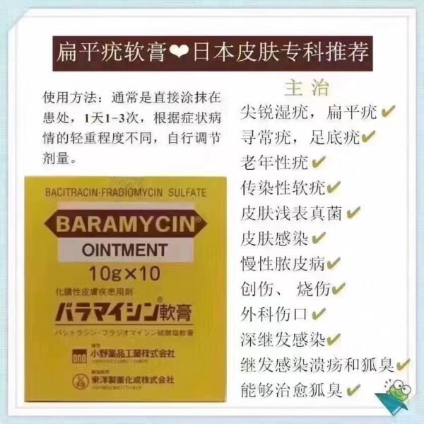 扁平疣バラマイシン軟膏 10g*10支